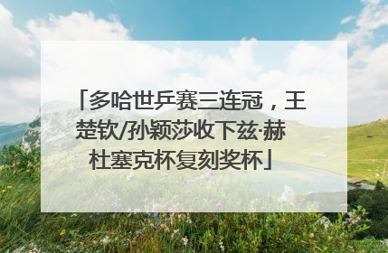 多哈世乒赛三连冠，王楚钦/孙颖莎收下兹·赫杜塞克杯复刻奖杯